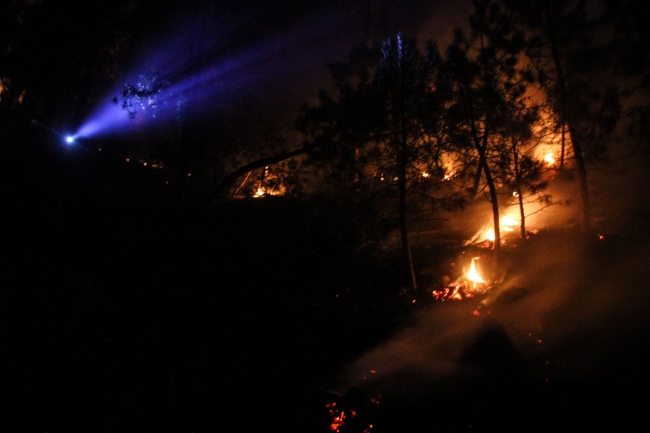 Kütahya'da çıkan orman yangınına müdahale ediliyor