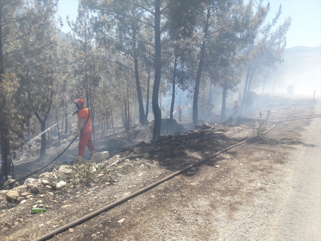 Mersin'de orman yangını