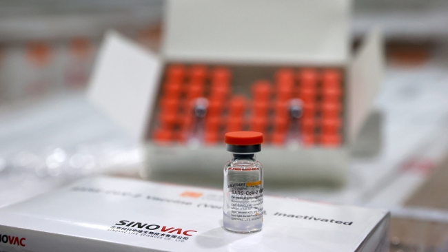 CoronaVac aşısına 'Acil Kullanım Onayı'