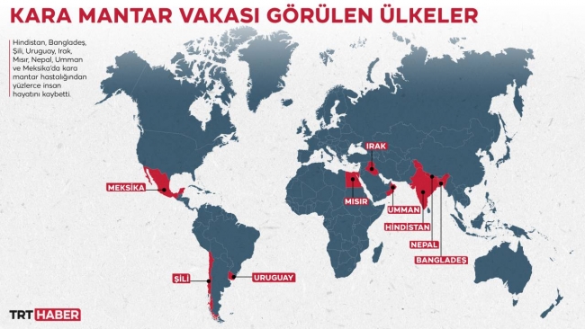  Grafik:TRT Haber-Hafize Yurt