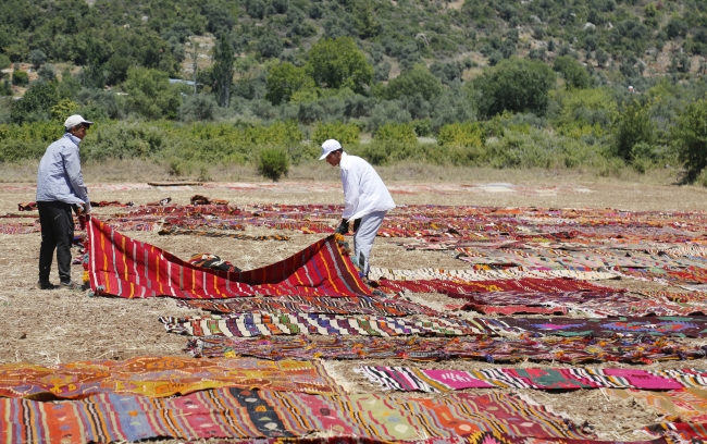 Antalya'da tarlalar halı açtı