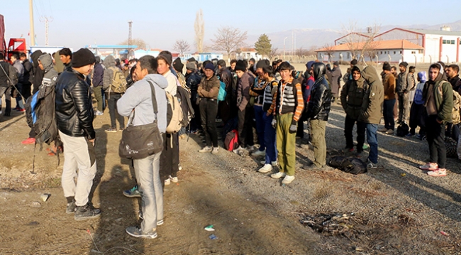 Erzincan'da kamyonun kasasından 178 kaçak çıktı