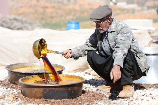 Gaziantep'te yaş üzüm pekmezi zamanı