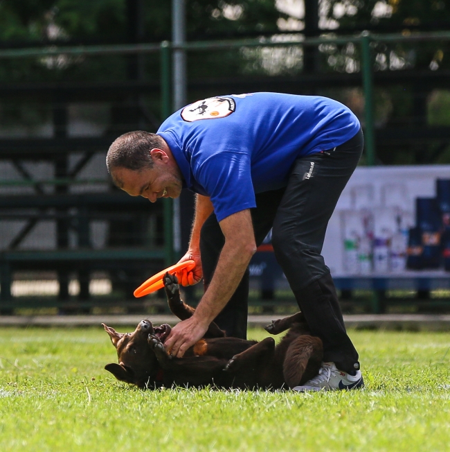 Disc Dog Challenge ilk kez Türkiye'de gerçekleştirildi