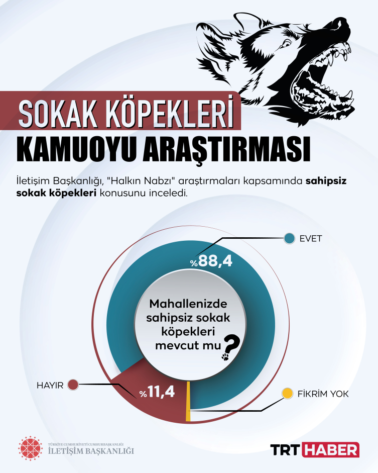 Sokak köpekleri kamuoyu araştırması