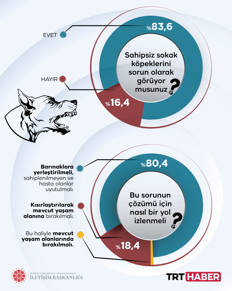 Sokak köpekleri kamuoyu araştırması