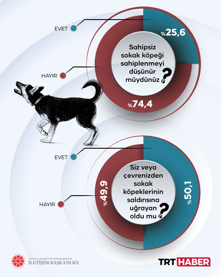 Sokak köpekleri kamuoyu araştırması