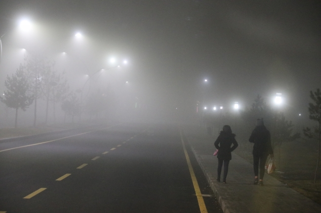 Ağrı ve Erzurum'da yoğun sis