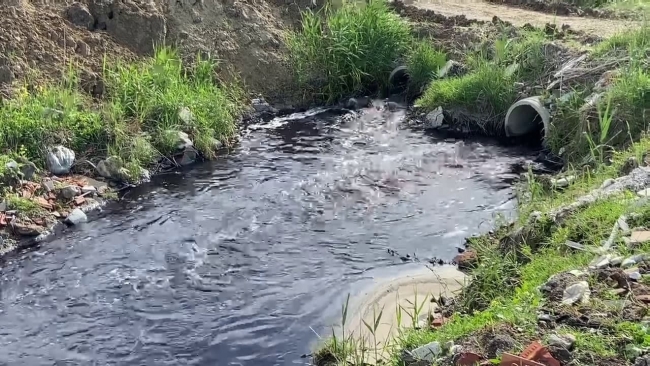 'Yatağında zehirlenen' Ergene Nehri yıllardır can çekişiyor