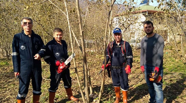 Fındık timleri 20 günde 400 örnek bahçe oluşturdu