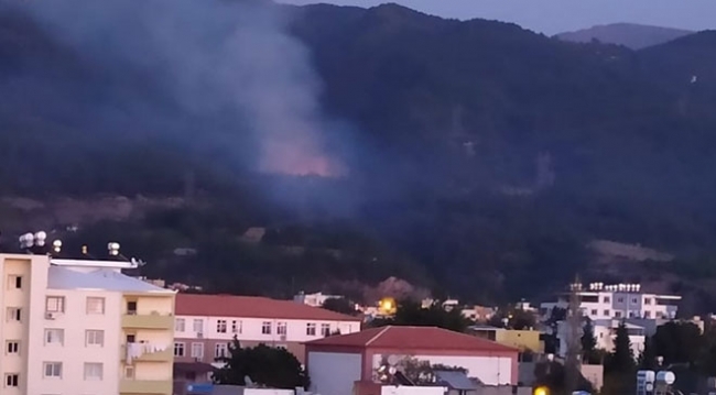 Hatay'da orman yangını: 1 hektar alan zarar gördü