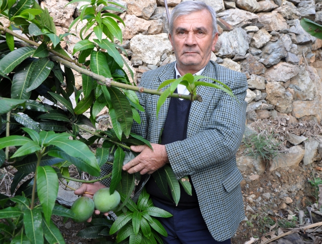 Fotoğraf: DHA, Antalya