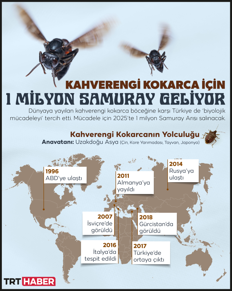 1 milyon Samuray Arısı doğaya salınacak