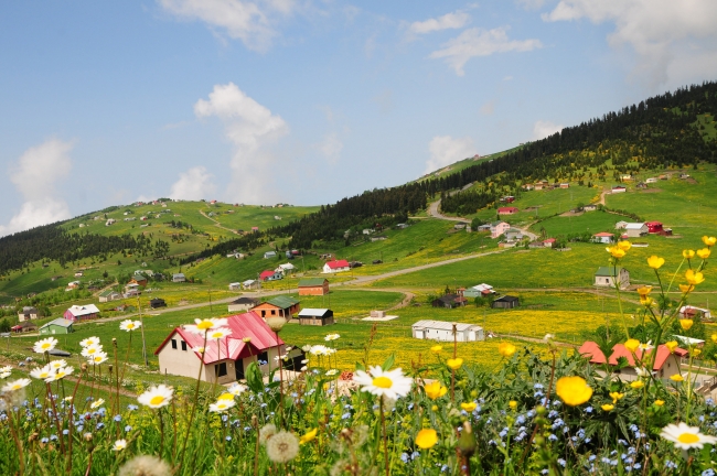 Yayla turizminin yeni adresi: Tonya