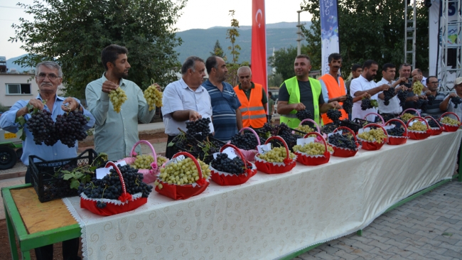 İslahiye Üzüm ve Biber Festivali başladı