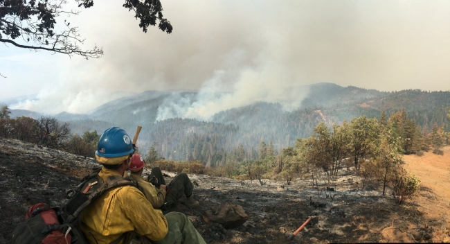 Ferguson yangını Yosemite Milli Parkı'nı kapattırdı