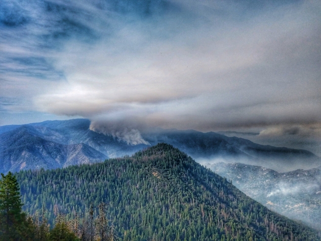 Ferguson yangını Yosemite Milli Parkı'nı kapattırdı