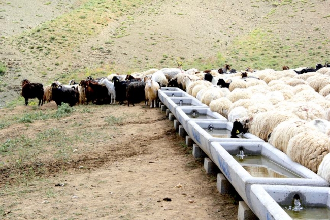 Van'da kırsal kalkınmaya yönelik yatırımlar çiftçinin yüzünü güldürdü