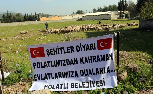 Bayırbucak Türkmenleri ve Ankaralı muhtarlar Mehmetçiğe 300 koyun bağışladı