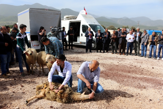 Bayırbucak Türkmenleri ve Ankaralı muhtarlar Mehmetçiğe 300 koyun bağışladı