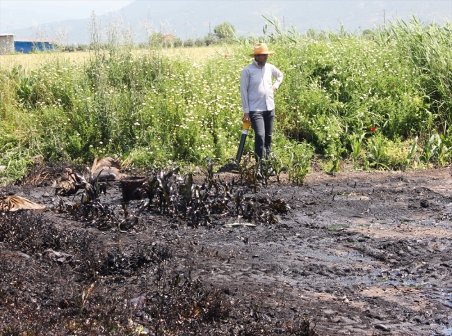 Osmaniye'de petrol boru hattından hırsızlık girişimi