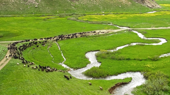 Terörden arındırılan Faraşin Yaylası, artık huzur dolu