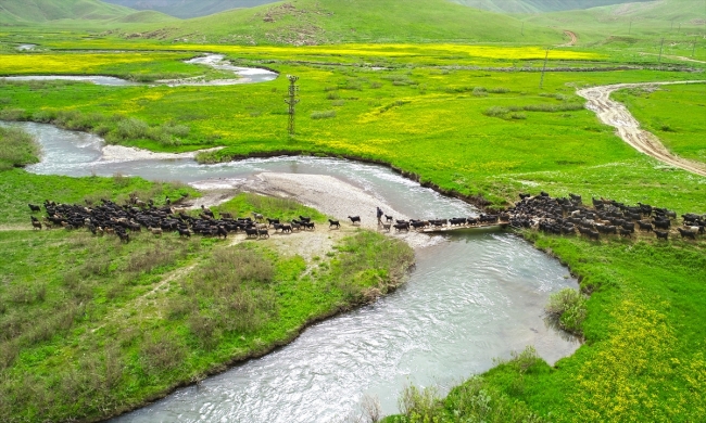 Terörden arındırılan Faraşin Yaylası, artık huzur dolu