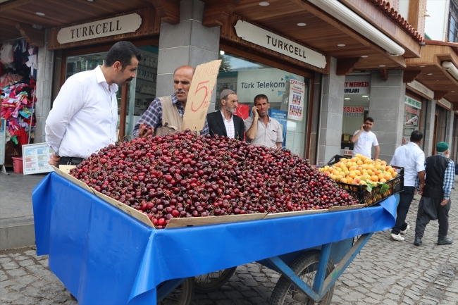 Terör örgütü yıktı, devlet ihya etti