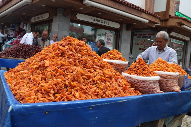 Terör örgütü yıktı, devlet ihya etti