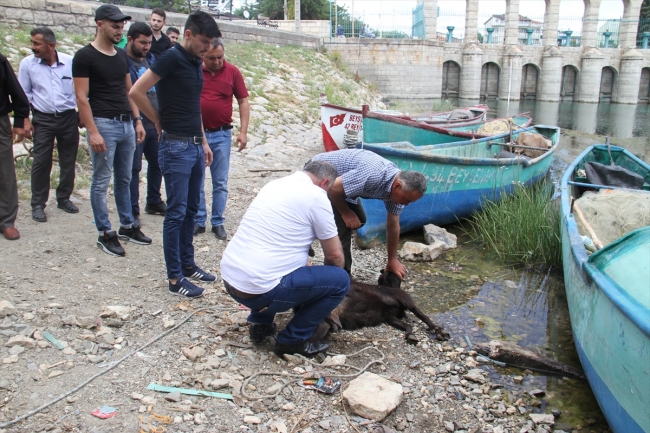 Beyşehir Gölü'nde avlanma yasağı yarın bitiyor