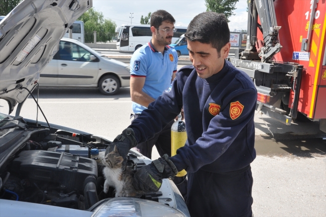 Ankara İtfaiyesi 4 ayda yüzlerce hayvanı kurtardı