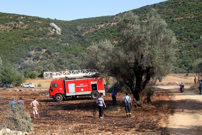 Muğla'da çıkan orman yangınında 34 hektarlık alan zarar gördü