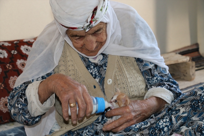 Anneleri ölen yavru kedilere 96 yaşındaki nine sahip çıktı