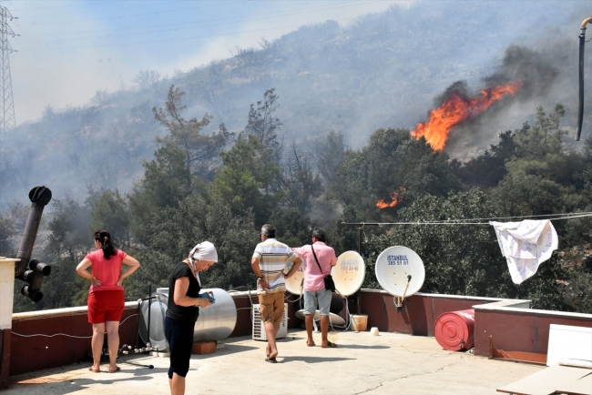 Bodrum'da otluk ve makilik alanda yangın