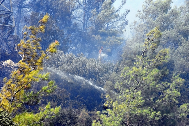 Bodrum'da otluk ve makilik alanda yangın