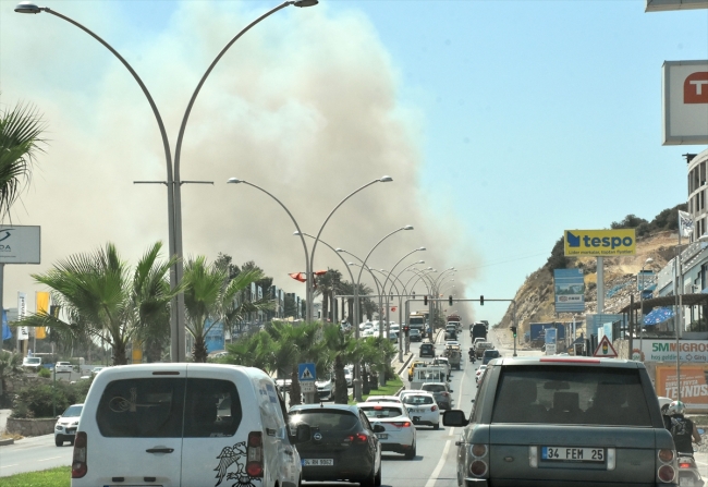 Bodrum'da otluk ve makilik alanda yangın