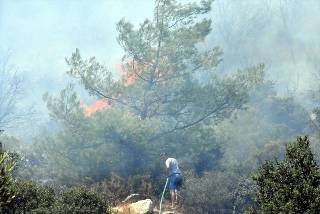 Bodrum'da otluk ve makilik alanda yangın