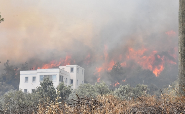 Bodrum'da otluk ve makilik alanda yangın