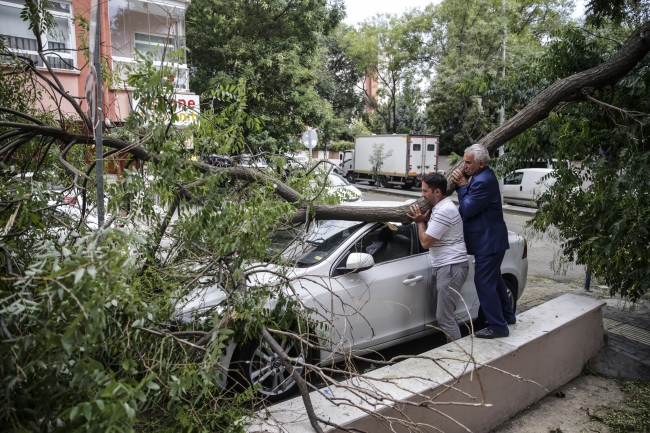 Ankara'da şiddetli rüzgar ağaçları devirdi