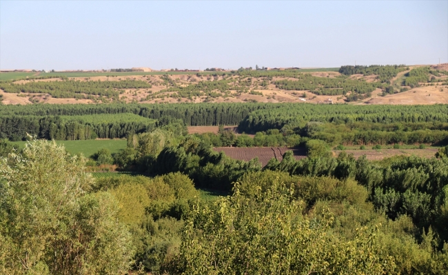 Diyarbakır turizm hedeflerine emin adımlarla ilerliyor