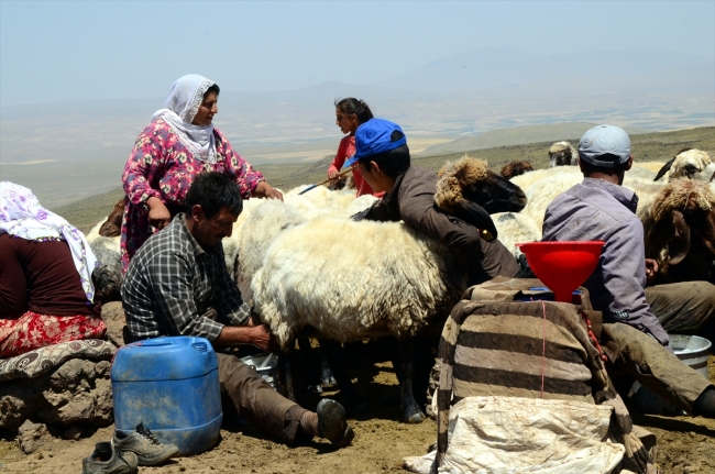 Göçerler yaz aylarında hayvanlarının su sorununu karla çözüyor