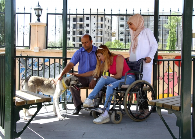 İşkence gören köpeğe engelliler sahip çıktı