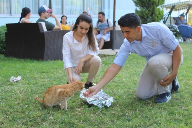 Balıkesir'in uygulama oteli ile sokak hayvanlarına kucak açılıyor