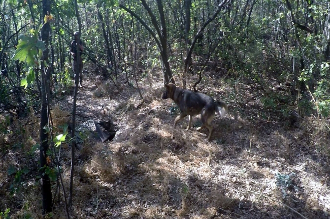 Tunceli'de terör operasyonu: 2 sığınak imha edildi