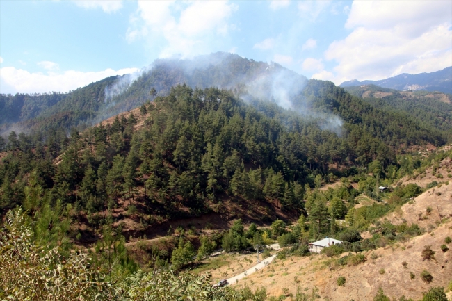 Kahramanmaraş'ta orman yangını