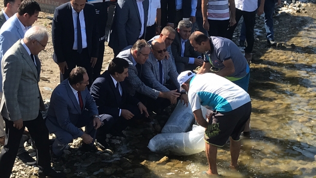 İznik Gölü'ne 500 bin sazan yavrusu bırakıldı