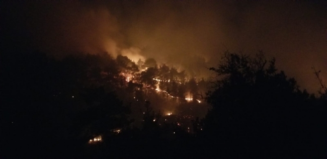 Denizli'de orman yangını