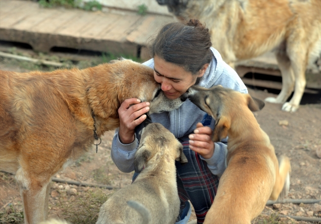 Emekli maaşının büyük bölümünü sokak köpekleri için harcıyor