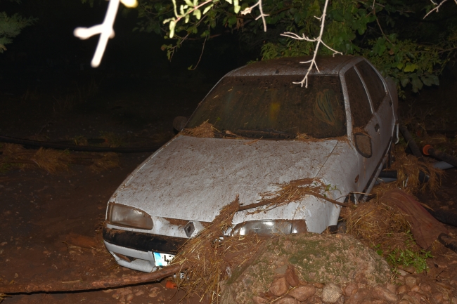 Sele kapılan 120 küçükbaş hayvan telef oldu