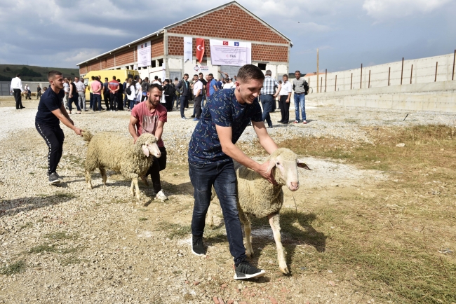 TİKA’dan Kosovalı çiftçilere destek